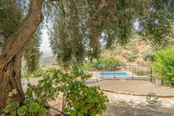 Finca agrícola de 31,1 ha en venta en Colmenar, Malaga