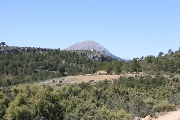 Finca cinegética de 180 ha en venta en Granada