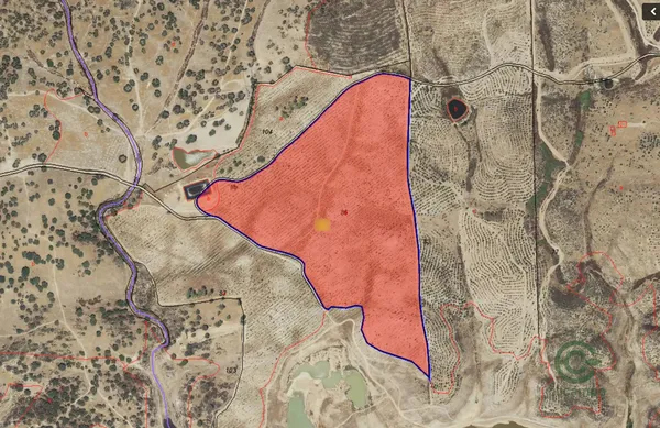 Finca rústica de 29,25 ha en venta en Huelva