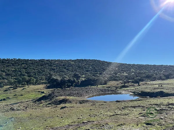 Finca rústica de 250 ha en venta en Cáceres