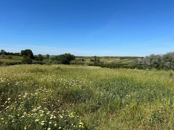 Finca agrícola de 3,8 ha en venta en Bollullos par del condado, Huelva