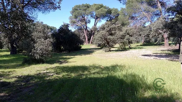 Terreno urbano de 1 ha en venta en Pozuelo de alarcon, Madrid