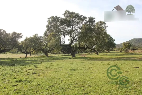 Finca rústica de 900 ha en venta en Badajoz