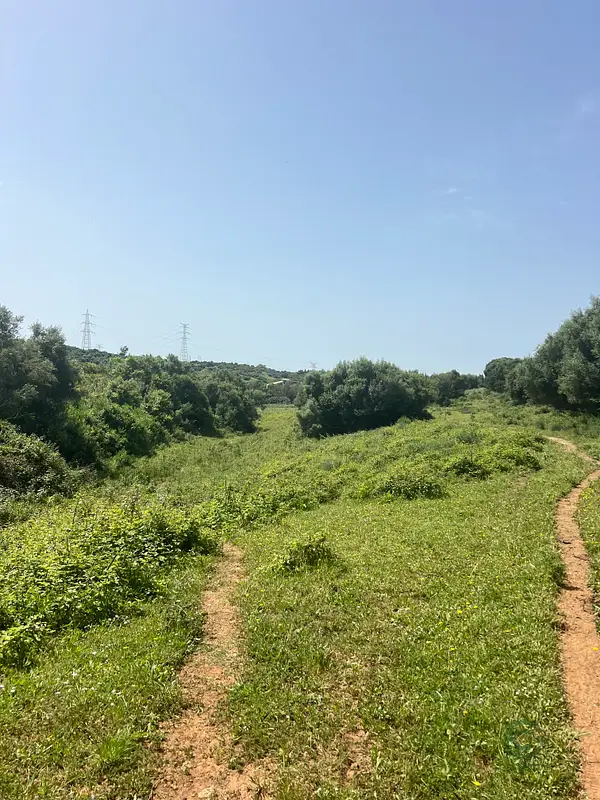 Finca rústica de 50 ha en venta en Cádiz