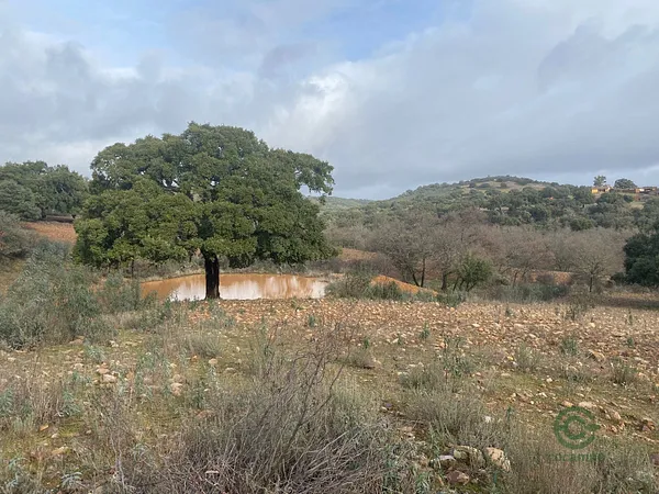 Finca rústica de 0,07 ha en venta en Ciudad real