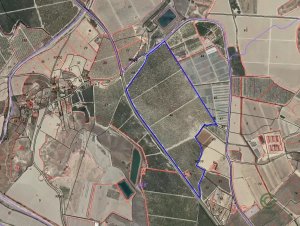 Finca agrícola de 25 ha en venta en Almería