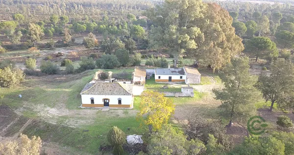 Finca rústica de 159 ha en venta en Huelva
