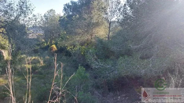Finca rústica de 1,3575 ha en venta en El vendrell, Tarragona