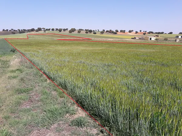 Finca agrícola de 12 ha en venta en Salamanca