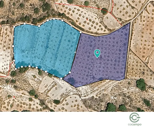Finca agrícola de 1,7 ha en venta en Raspay, Murcia