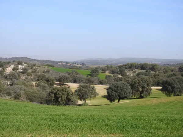 Finca rústica de 1000 ha en venta en Madrid
