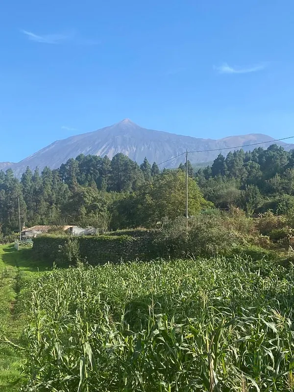 Finca rústica de 4,3 ha en venta en Santa cruz de tenerife