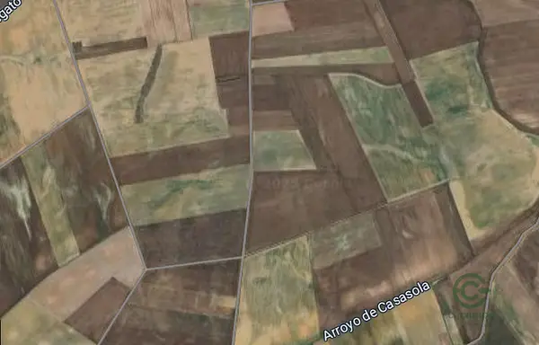 Finca agrícola de 2,83 ha en venta en Salamanca