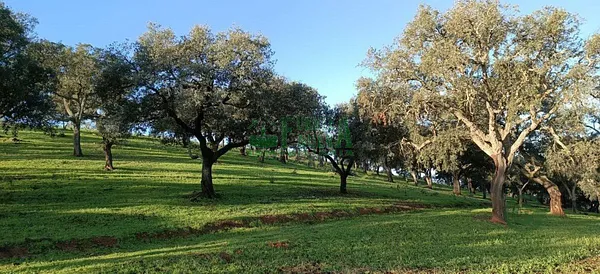 Finca rústica de 350 ha en venta en Aracena, Huelva