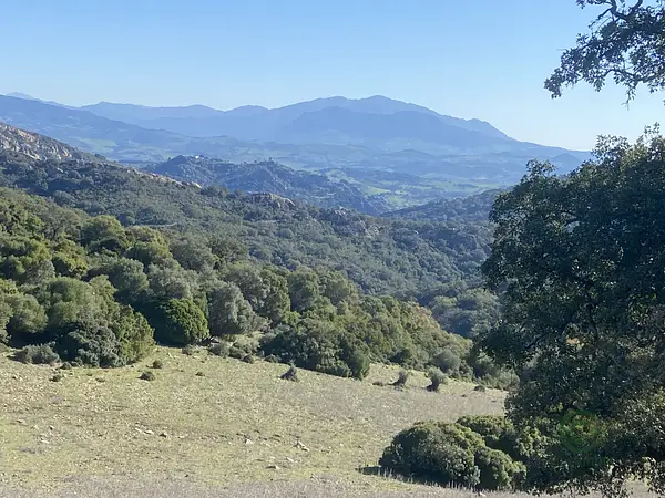 Finca rústica de 450 ha en venta en Cádiz