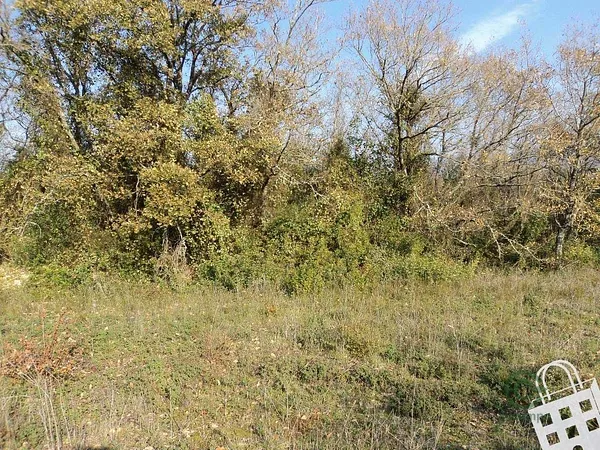 Finca agrícola de 0,26 ha en venta en Aljubarrota, Leiria