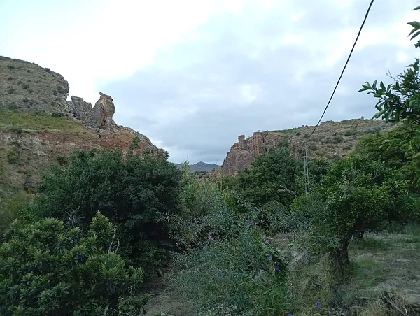 Finca agrícola de 2 ha en venta en Almería