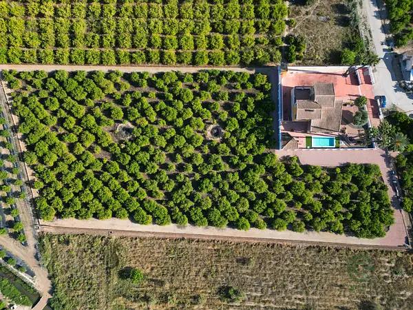 Finca rústica de 0,948 ha en venta en Alicante