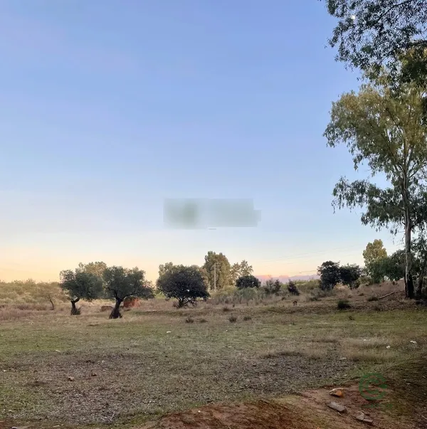 Finca rústica de 1 ha en venta en Mérida, Badajoz