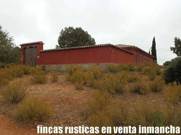 Finca rústica de 196 ha en venta en Ciudad real