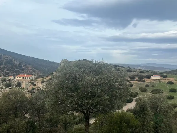 Finca rústica de 873 ha en venta en Ciudad real