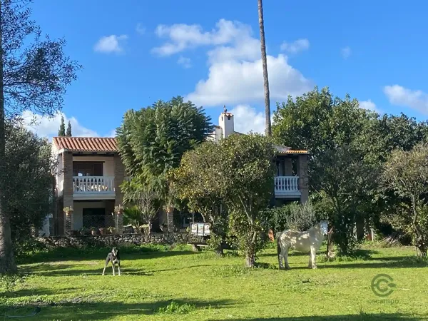 Finca rústica de 6 ha en venta en Cádiz