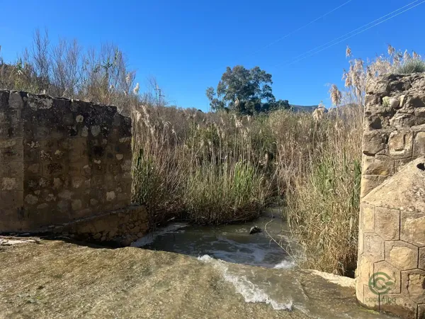 Finca rústica de 550 ha en venta en Málaga