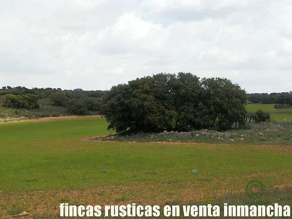 Finca rústica de 186 ha en venta en Ciudad real