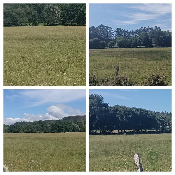 Finca ganadera de 5,473 ha en venta en Guipúzcoa