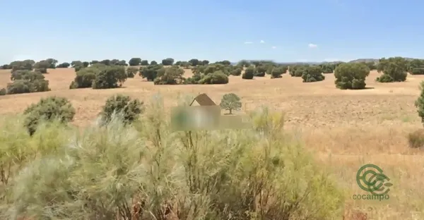 Finca rústica de 180 ha en venta en Toledo