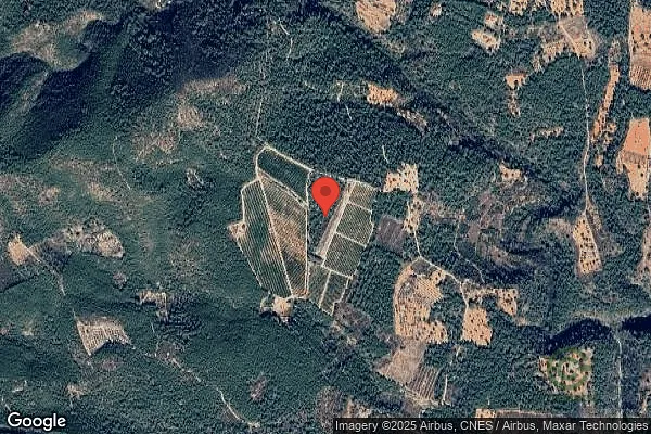 Finca agrícola de 0,8 ha en venta en Castellón