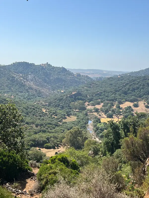 Finca rústica de 154 ha en venta en Cádiz