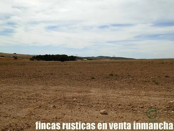 Finca agrícola de 220 ha en venta en Albacete