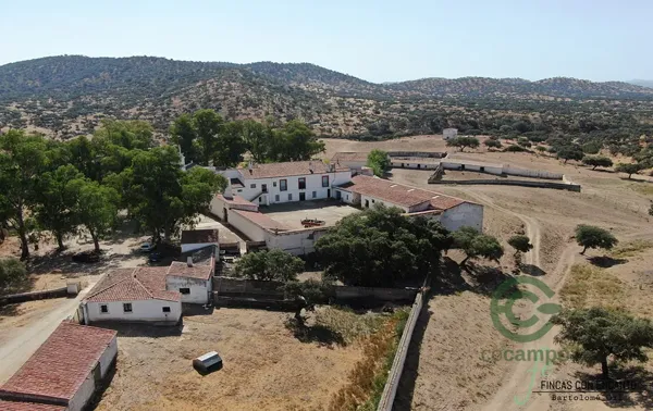 Finca rústica de 800 ha en venta en Badajoz