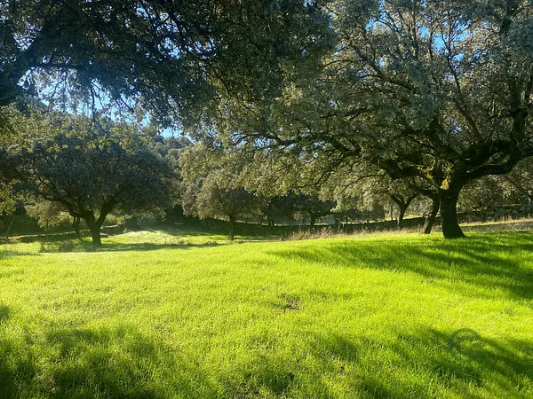 Finca de recreo de 11 ha en venta en Toledo