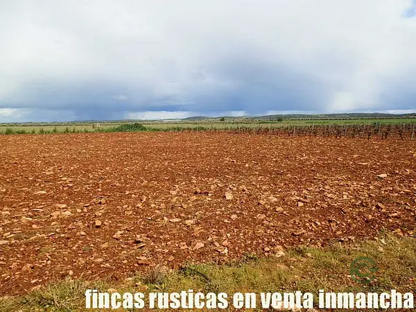 Finca agrícola de 5 ha en venta en Ciudad real