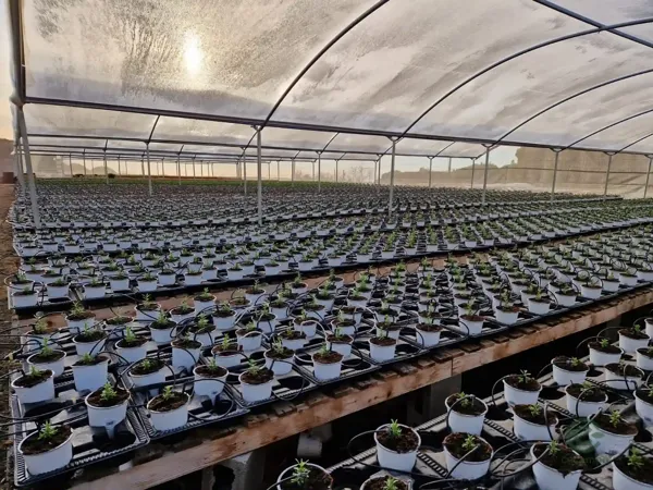 Finca rústica de 4 ha en venta en Barcelona