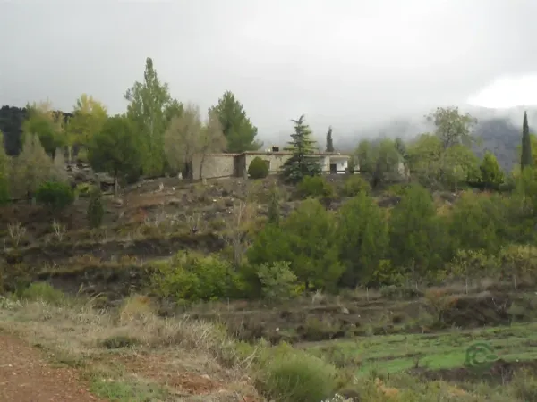 Finca rústica de 20 ha en venta en Almería