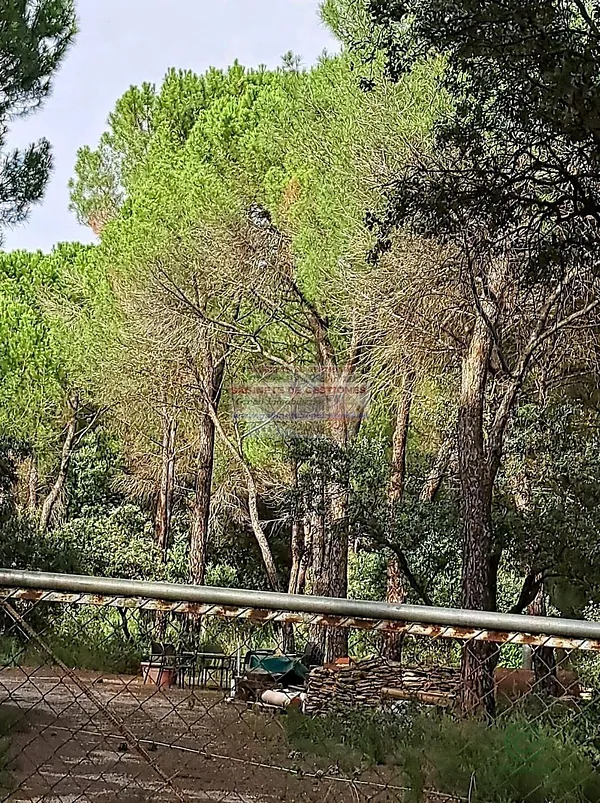 Terreno urbano de 1 ha en venta en Albacete, Albacete