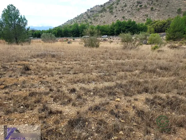 Finca agrícola de 1,8 ha en venta en Cieza, Murcia
