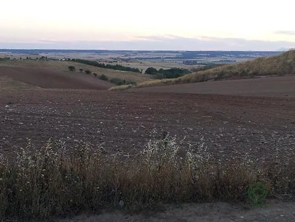 Terreno urbano de 0,2162 ha en venta en Tortola de henares, Guadalajara