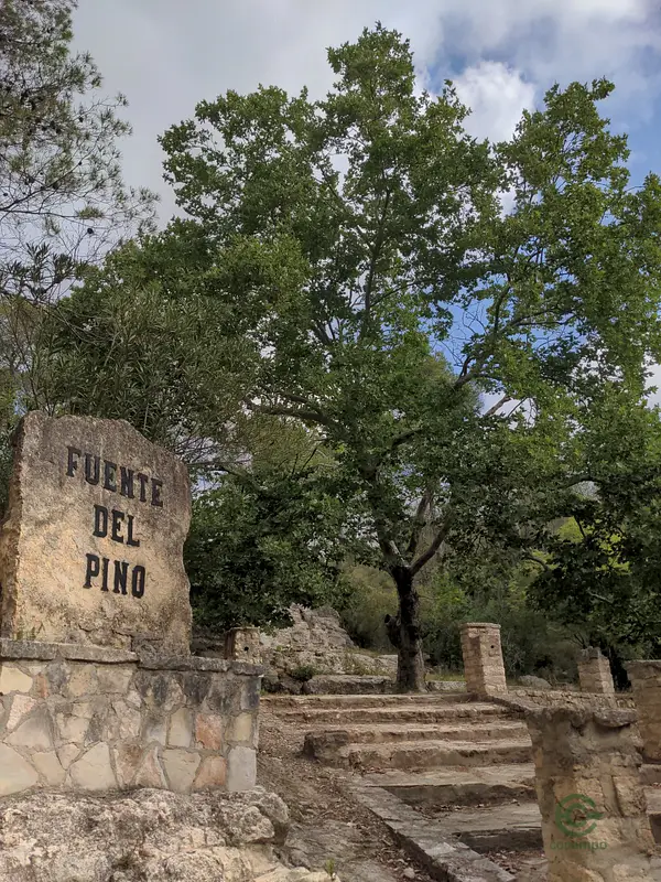 Finca rústica de 18 ha en venta en Valencia