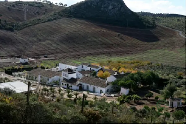 Finca rústica de 378 ha en venta en Málaga