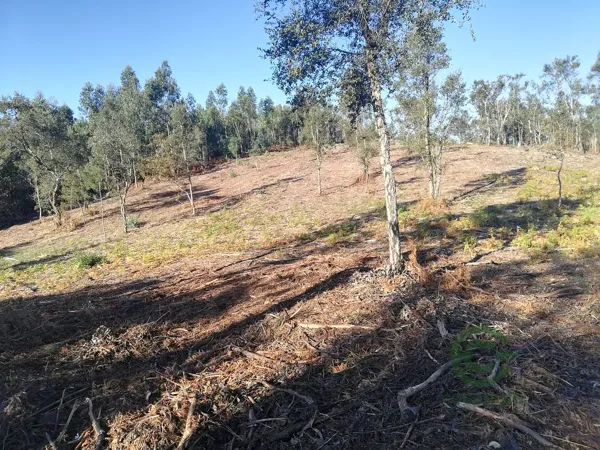 Finca rústica de 3 ha en venta en Pontevedra