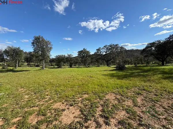 Finca rústica de 8,0824 ha en venta en Almonaster la real, Huelva
