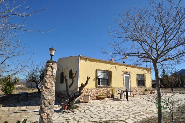 Finca rústica de 1,05 ha en venta en Salinas, Alicante