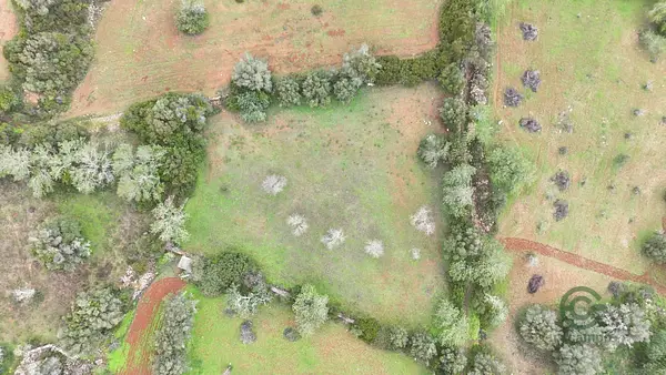 Rustic property of 0,264 ha for sale in Faro