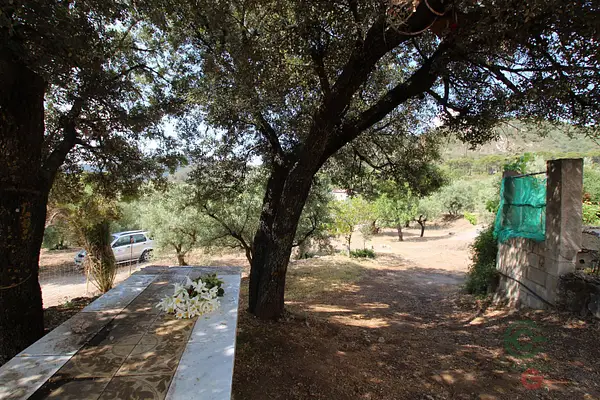 Finca agrícola de 1,5 ha en venta en Guájar alto, Granada