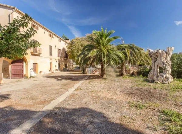 Finca rústica de 6,08 ha en venta en Marratxí, Mallorca