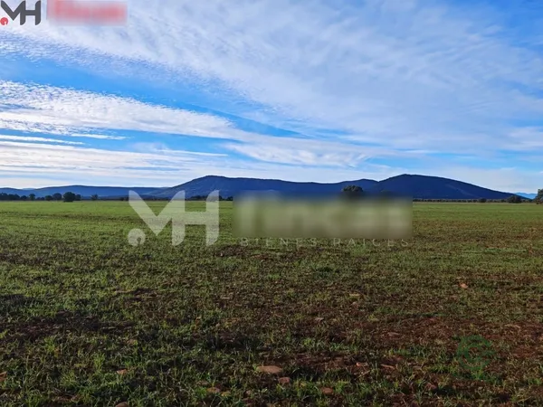 Finca agrícola de 30,8922 ha en venta en Belvis de la jara, Toledo